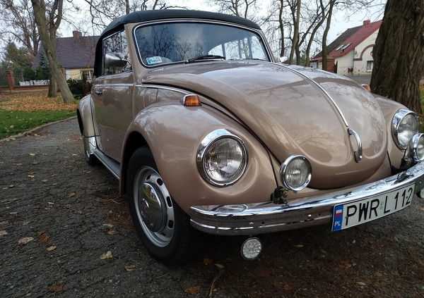 Volkswagen Garbus cena 95000 przebieg: 86000, rok produkcji 1971 z Września małe 667